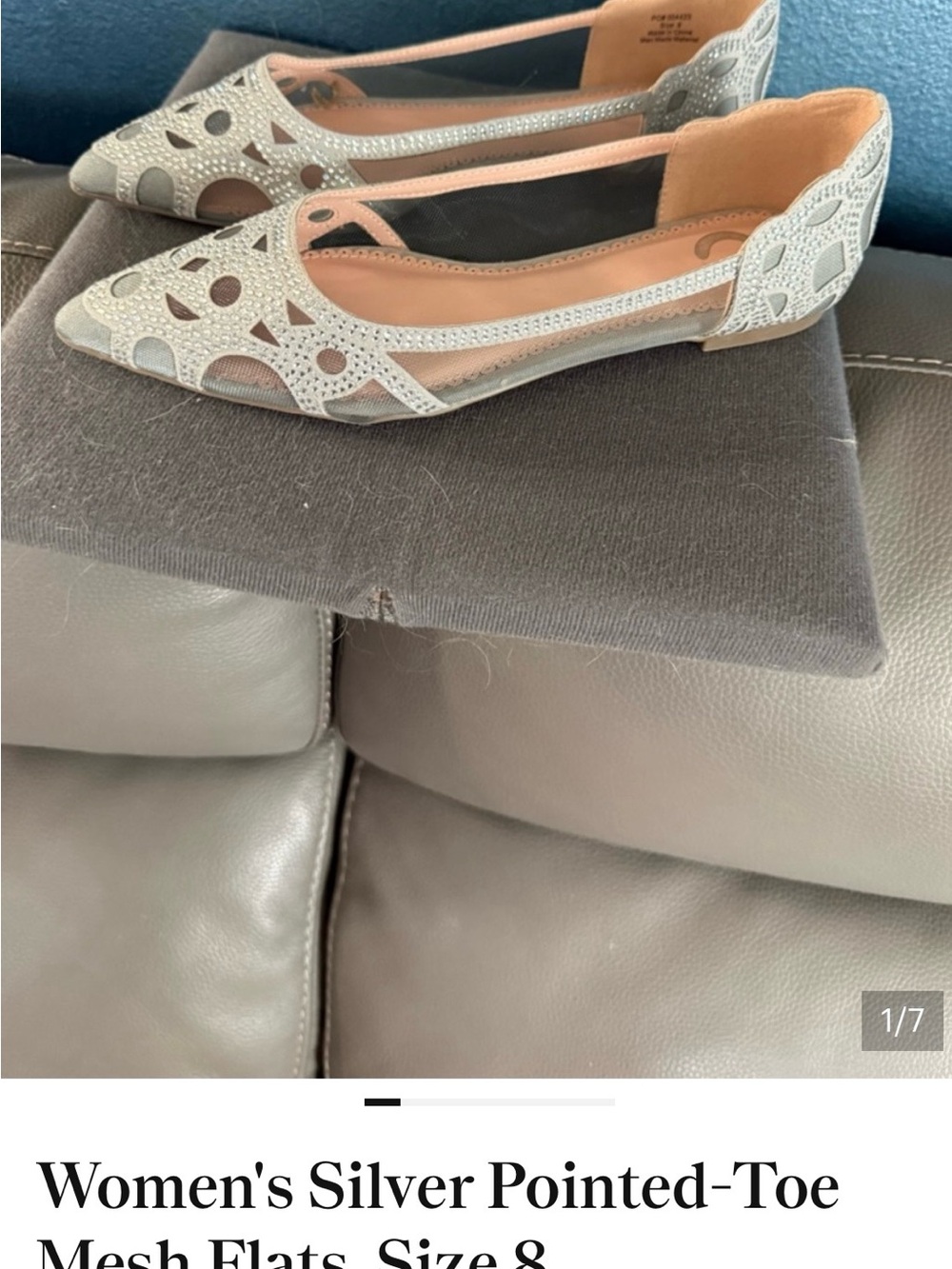 Silver Pointed-Toe Mesh Flats for Women